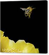 Bee Rising #2 Canvas Print