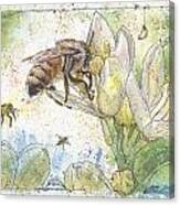Bees And Lemon Blossom Canvas Print