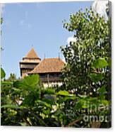 Behind The Leaves Canvas Print