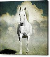 Behold A White Horse Canvas Print