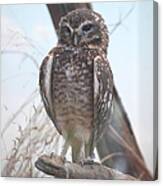 Being A Burrowing Owl Is A Hoot Canvas Print