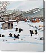 Belties In The Snow Canvas Print