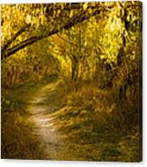 Bend At Oxbow Canvas Print
