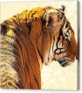 Bengal Tiger In Thought Canvas Print