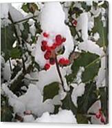 Berried In Snow Canvas Print