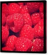 #berries Canvas Print