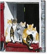 Biddles Barn Kitties Canvas Print