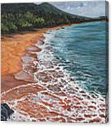Big Beach Canvas Print