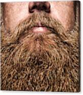 Big Bearded Man Portrait Canvas Print