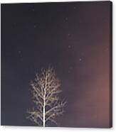 Big Dipper In The Night Sky With A Lone Canvas Print