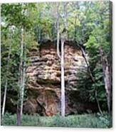 Big Rock In The Woods Canvas Print