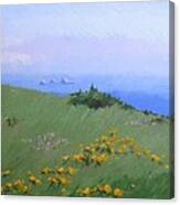 Big Sur Canvas Print