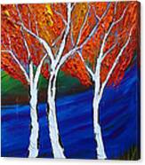 Birch Tree Of Autumn 7 Canvas Print