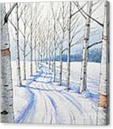 Birch Trees Along The Curvy Road Canvas Print