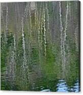 Birch Trees Reflected In Pond Canvas Print