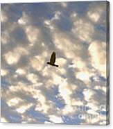 Bird Across Macerel Clouded Sky Canvas Print