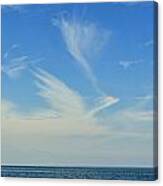 Bird Cloud Canvas Print