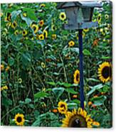 Bird Feeder By Jan Marvin Canvas Print