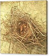 Bird Nest Ii Canvas Print