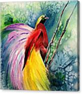 Bird Of Paradise New-guinea Canvas Print
