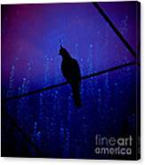 Bird On The Wire ... Canvas Print