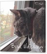 Bird Watching. Dixie Is Focused On A Canvas Print