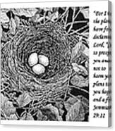 Bird's Nest With Scripture Canvas Print