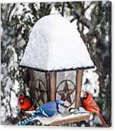 Birds On Bird Feeder In Winter Canvas Print