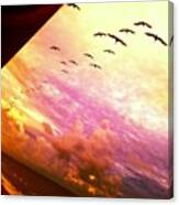 #birds, #sunrise, #vacation, #tropical Canvas Print