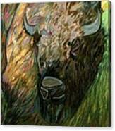 Bison Canvas Print