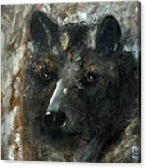 Bjomolf - Bear Wolf Canvas Print
