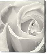 Black And White Curves Canvas Print