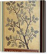 Black Oak (quercus Tinctoria) Canvas Print