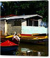 Black River Crane Canvas Print