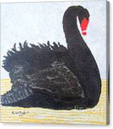 Black Swan Lake Canvas Print