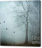 Blackbirds In Fog Canvas Print