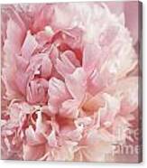 Blessed Peony Canvas Print