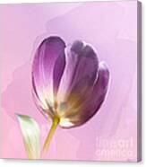 Blissfully Purple Canvas Print