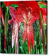 Blood Orchid Splatter Canvas Print