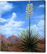 Blooming Yucca Canvas Print