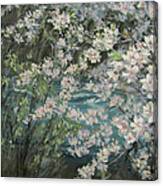 Blossoming River Canvas Print