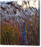 Blowing In The Wind Canvas Print