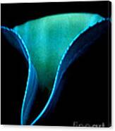 Blue Agave Vertical Canvas Print