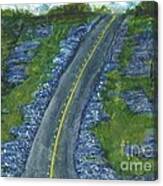 Blue Bonnet Road Canvas Print