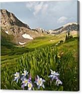 Handie's Peak And Blue Columbine On A Summer Morning Canvas Print