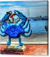 Blue Crab Canvas Print