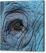 Blue Elephant Canvas Print