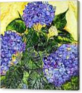 Blue Hydrangea Flowers Canvas Print