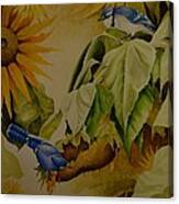 Blue Jays On Sunflower Canvas Print