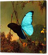 Blue Morpho Butterfly Canvas Print
